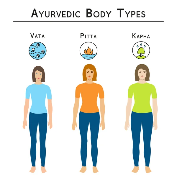 Ayurveda ilustração vetorial. Tipos de corpo ayurvédicos, vata, pitta, kapha . — Vetor de Stock