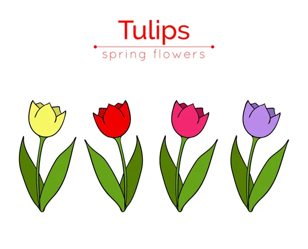Iconos planos de tulipanes rojos, rosados, amarillos, violetas . — Archivo Imágenes Vectoriales