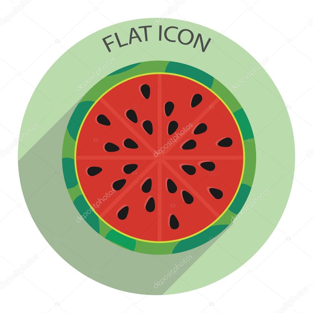 Half of watermelon. Vector illustration