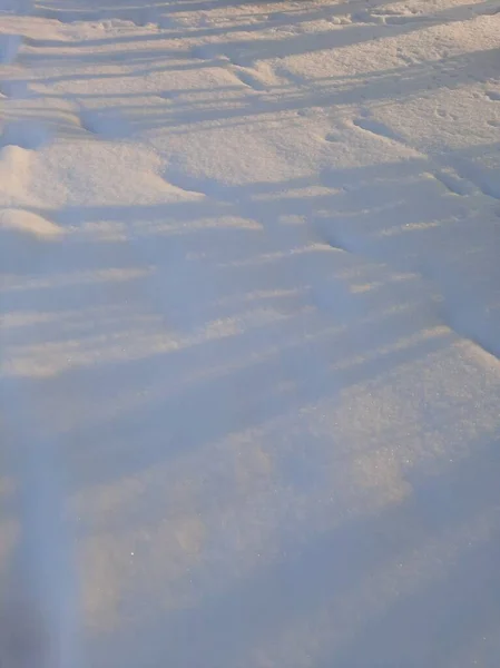 Skuggor Från Träd Snön — Stockfoto