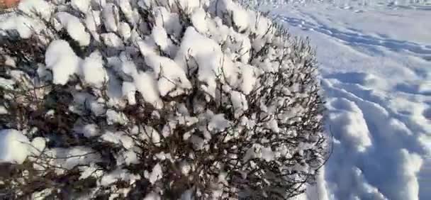 Снег Лежит Кокошнике Обрезанном Шариками — стоковое видео