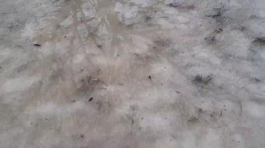 Buzlar çözülsün. Karlar eridi ve su oluştu.