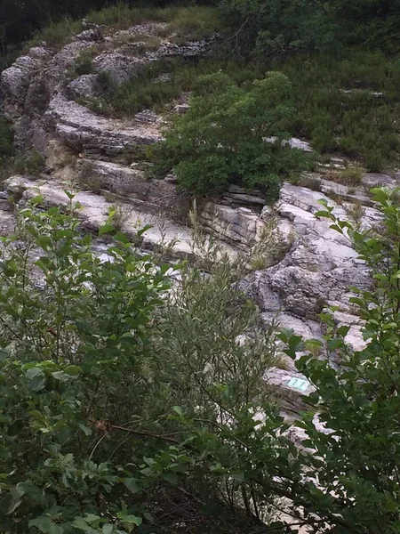 The beginning of the Caucasus Mountains. Shapsuga. Rock