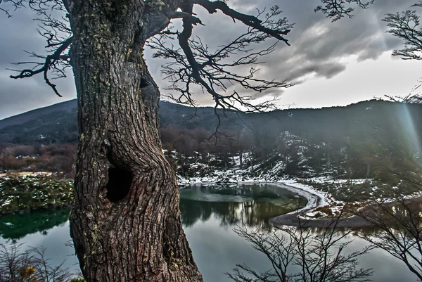 Nido lago — Stock fotografie