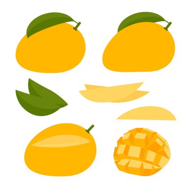Mango. Vektör düz çizim. tam meyve koleksiyonu ve beyaz arkaplanda kesilen parçalar.