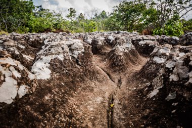 Phu Hin Rong Kla Milli Parkı, Phitsanulok Tayland.