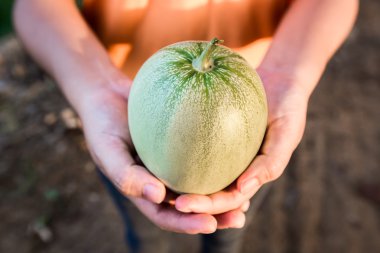 ekin onun elinde tutan günbatımı kadın önce kavun
