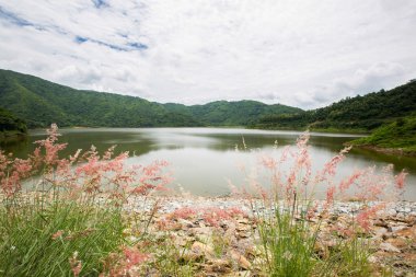 Tayland'da Barajı