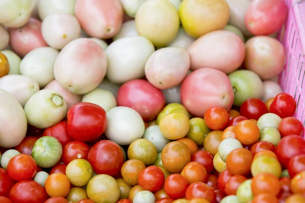 Tomates coloridos —  Fotos de Stock