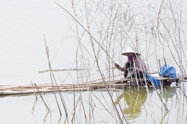 Bir kadın kullanım bambu olta nehre fishining olduğunu