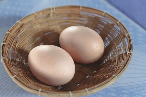 Dos huevos en la espalda —  Fotos de Stock