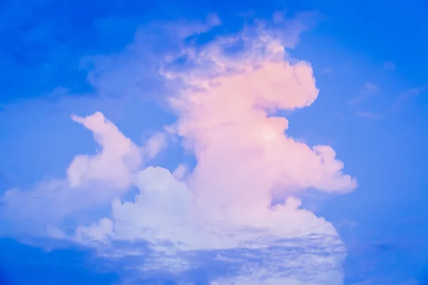 Sky with lion clouds and sun — Stock Photo, Image