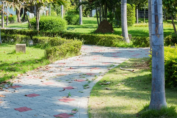 Pathway in city park — Stock Photo, Image