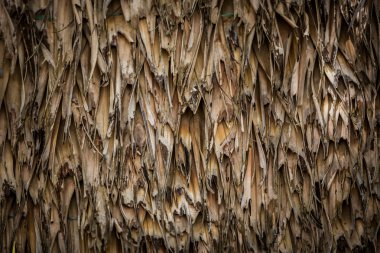 Hasır desen Thatch arka plan