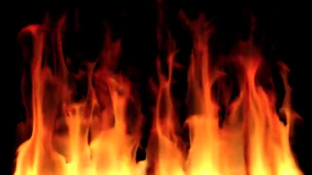 화재 배경 루프 — 비디오