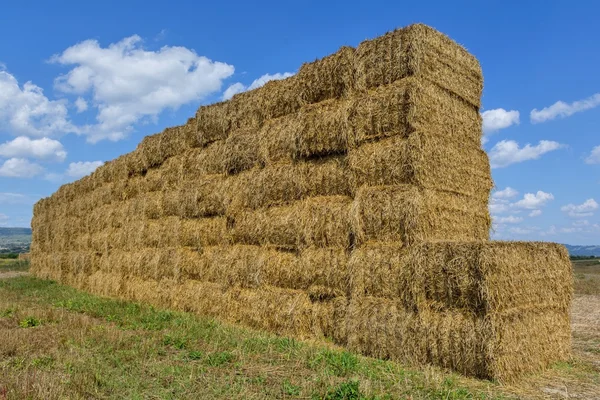 Солома или сено, сложенные в поле после сбора урожая — стоковое фото