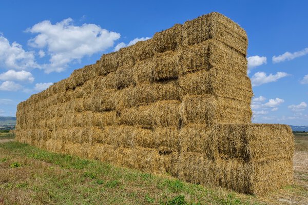Солома или сено, сложенные в поле после сбора урожая
