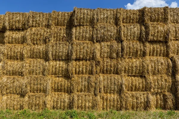 藁や干し草の収穫後の田に積み上げ — ストック写真