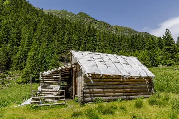 Abandoned wooden sheepfold in Carpathians mountains near the pine trees forest — Stock Photo, Image