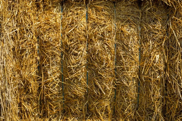 Close up of a straw bales background.Straw bale texture. — Stock Photo, Image