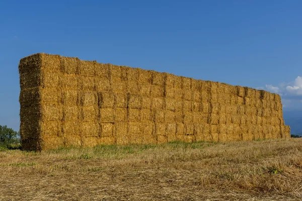 Paille ou foin empilés dans un champ après la récolte au coucher du soleil — Photo