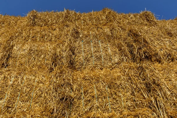 Straw or hay stacked in a field after harvesting.Straw bale wall.Below view. — Stock Photo, Image