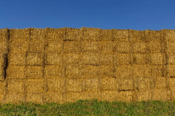 Paille ou foin empilés dans un champ après la récolte au coucher du soleil — Photo