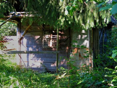 Terk edilmiş eski ahşap kulübe