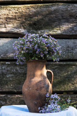Çiçek saksısında mor kır çiçekleri