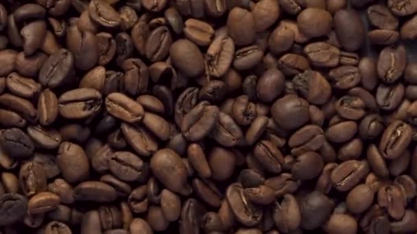 Verschillende Sprongen Koffiebonen Slow Motion — Stockvideo