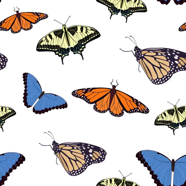 Fond sans couture avec des papillons réalistes. Vecteur. Papillons de différentes couleurs et tailles sur un fond blanc. — Image vectorielle