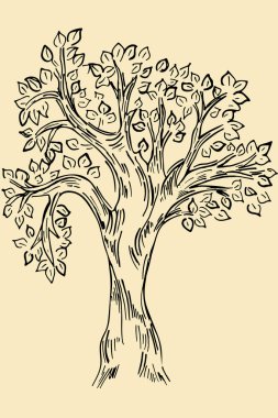 Bir ağaç çizimi. Kahverengi arka planda bir ağacı retro tarzda yönlendir. Basit el yazması çizimi, izole nesne.