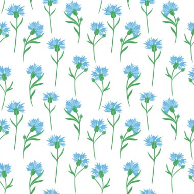 Çiçekli, kusursuz bir arka plan. Vektör. Hassas bir çiçek deseni. Mavi küçük kır çiçekleri.