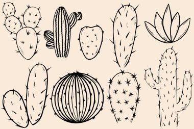 Kaktüs seti. Kaktüs eskizi. Hafif arkaplanda karalamalar, vektör.