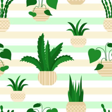 Ev bitkisi şablonu. Saksıda ev çiçekleri, sağlam desenler. Yeşil bitkiler, tekrar eden desenler. Çizgili yeni bir arkaplan. Vektör.