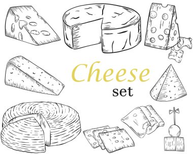 Farklı peynir türlerinin çizimi. Vektör. El çizimi.