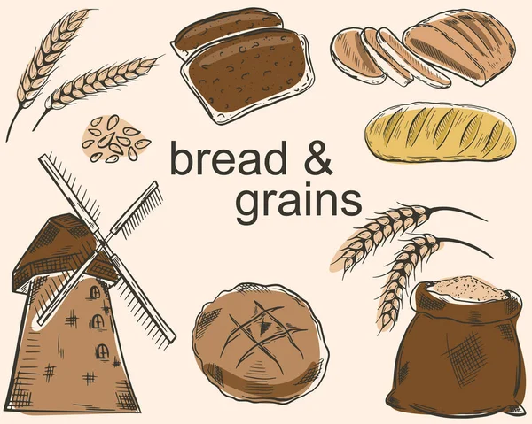 Набір Хліба Зерна Векторні Ескізи Різних Хлібів Зерна Млин Сільське — стоковий вектор
