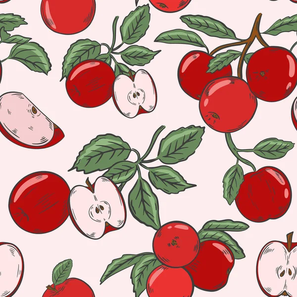 Kırmızı Elmalı Renkli Desen Vektör Bir Dalda Tüm Meyveler Yarımlar — Stok Vektör