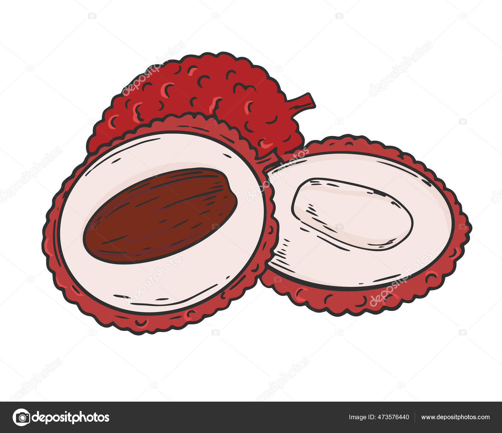 Vektorgrafiken Litchi Half Cut Vektorbilder Litchi Half Cut Depositphotos