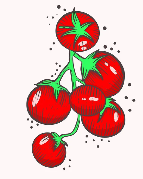 Tomates Cherry Una Rama Vector Tomates Rojos Pequeños Tomate Granja — Vector de stock