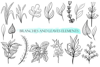Doğal botanik elementler, vektör. El yapımı dallar ve yapraklar. Siyah çizgili elementler.