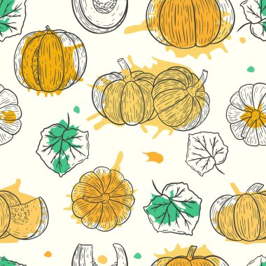 Kabak ve vektörle kusursuz desen. Çeşitli balkabaklarının çizimleriyle mevsimsel sonbahar şablonu. Şükran Günü için sonbahar arkaplanı.