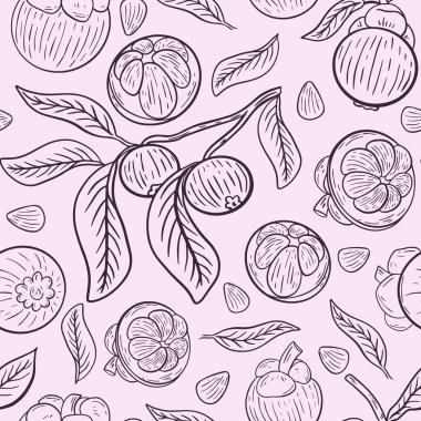 Mangosteen pürüzsüz desen, vektör. Egzotik tropikal meyvelerle arka planda tekrarlanan. Mangosteen çizimi, el çizimi..