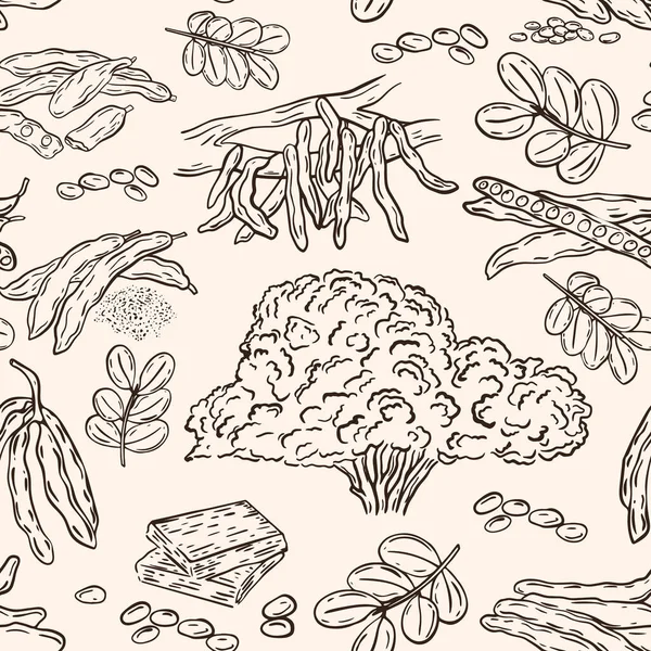 木耳无缝图案 超级产品Carob的水果草图 背景与手绘豆荚 种子和树木 食品模板 — 图库矢量图片