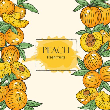 Şeftaliden meyve çerçevesi, vektör illüstrasyonu.