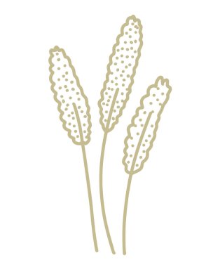 Kum rengi çimenler, vektör minimalist çizimler. El çizimi, basit hatlar. Dekorasyon için bitkisel doğal element.