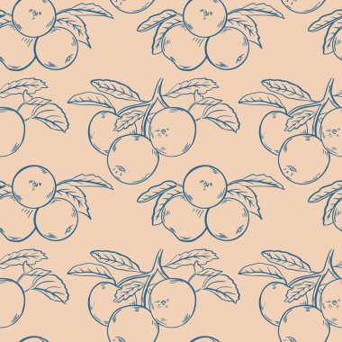 Çizim elmaları pürüzsüz desen, vektör çizimi. Yaprakları olan bir dalda meyveler, klasik grafik arka plan. Sağlıklı organik gıda.