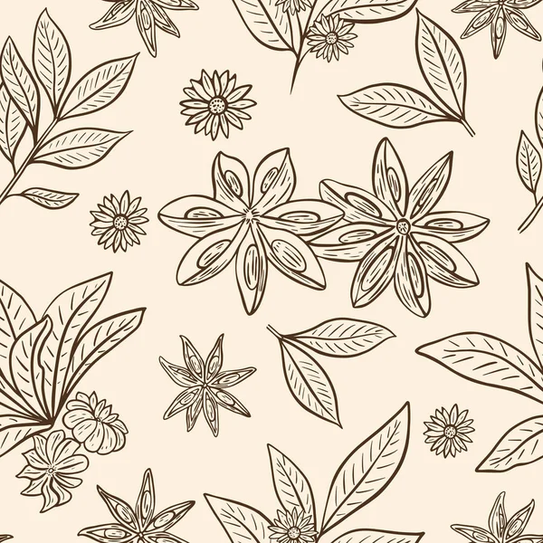 星形茴香无缝复古图案 矢量图解 背景上有豆荚 叶子和花朵的草图 带有香味香料的模板 手绘食物 — 图库矢量图片