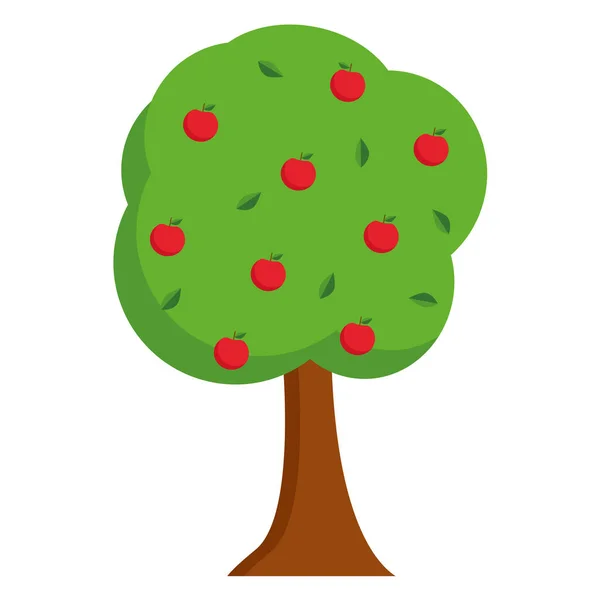 Apple ağacı basitleştirilmiş vektör illüstrasyonu. — Stok Vektör