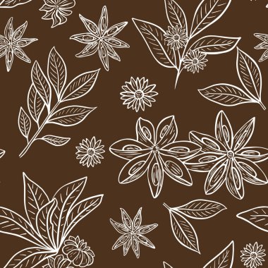 Anason yıldız deseni. Vektör vintage çizimi.